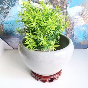 Cracked Ice Glaze Ceramic Planter Pot | Gray | 7" W x 4.5" H